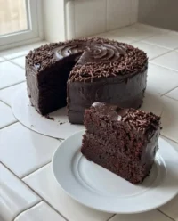 A close up view of a dark chocolate Matilda cake showing the moist fudgy crumb