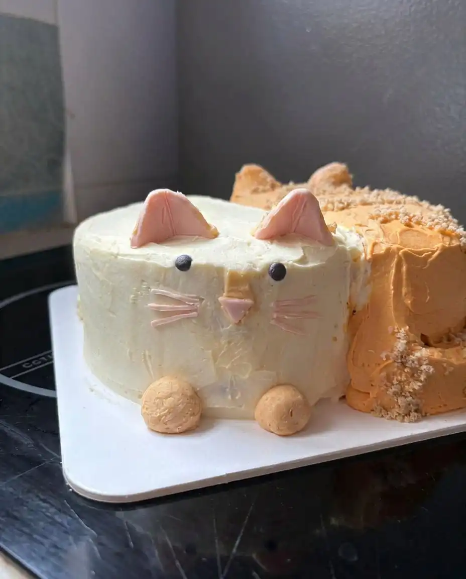 A single slice of chocolate cat cake showing the moist interior texture.