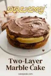 Make This Beautiful Two-Layer Marble Cake Featuring a Stunning and Easy 2 Layer Cake Design Today!