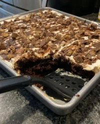 A cross section of a Reese's Peanut Butter Cup Poke Cake showing distinct layers.