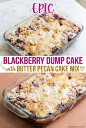 Easy Blackberry Dump Cake with Butter Pecan Cake Mix - A Warm and Cozy Blackberry Dump Cake
