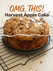 Harvest Apple Cake Recipe: The Ultimate Seasonal Dessert for Your Favorite Autumn Harvest Cake Needs