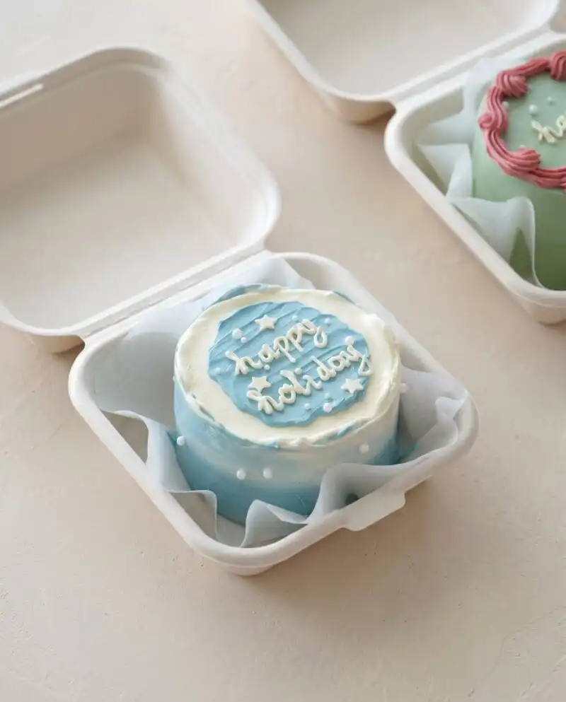 A beautiful mini Chocolate Lunch Box Cake sitting inside an open paper takeout container.