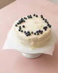 A rustic Classic Blueberry Layer Cake decorated with fresh lemon slices and wild blueberries.